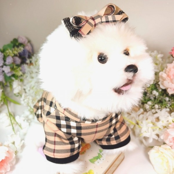 페오펫몰,[꽃길특가]체크안기모 스판티셔츠,강아지옷,스웻셔츠,애견옷,퍼스카프,채크리본