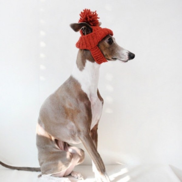 페오펫몰,[완제품/강아지 손뜨개 모자] 미미비니