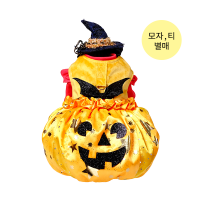 Pumpkin Harness (호박 하네스)