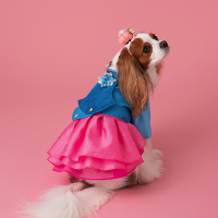 Hanbok No.3 Female Style (Dress)