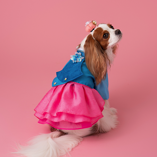 페오펫몰,Hanbok No.3 Female Style (Dress)