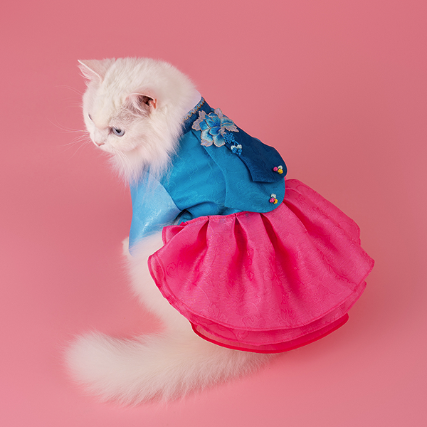 페오펫몰,Hanbok No.3 Female Style (Dress)