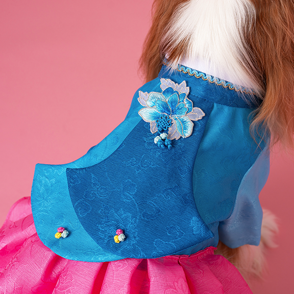페오펫몰,Hanbok No.3 Female Style (Dress)