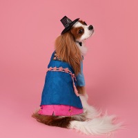 Hanbok No.3 Male Style
