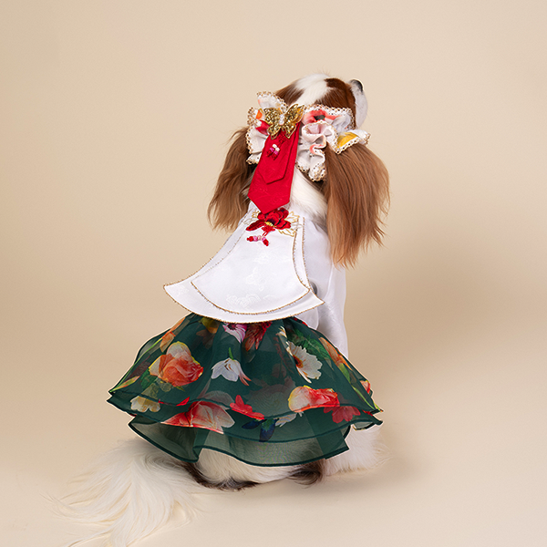 페오펫몰,Hanbok - Green Flower
