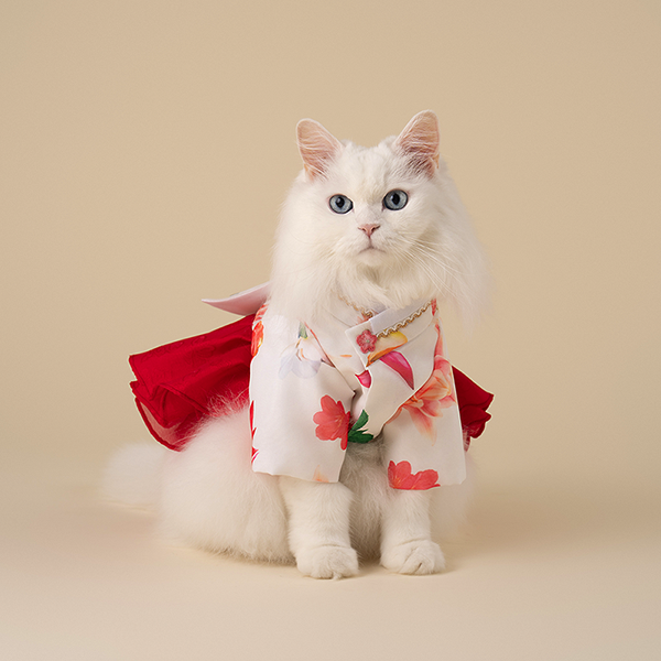 페오펫몰,Hanbok - Red Flower