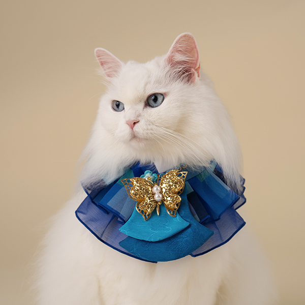 페오펫몰,HanBok Cape Blue