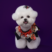 Halloween Golden Cape