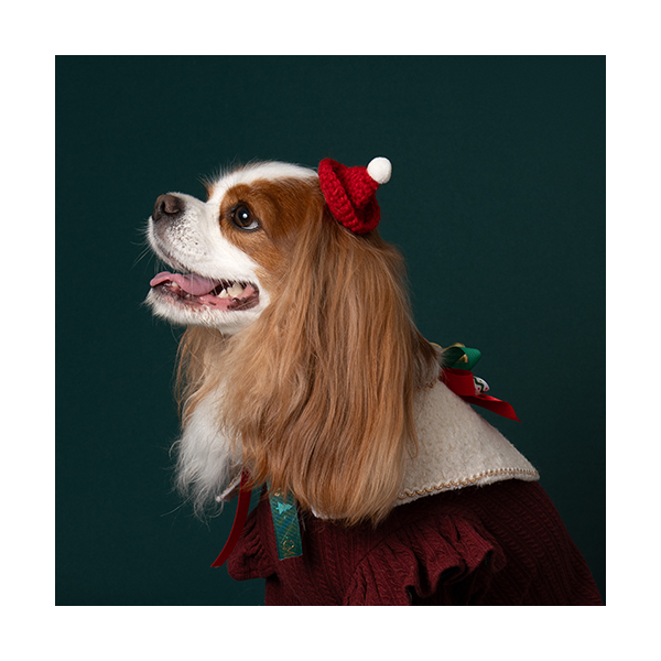 페오펫몰,X-mas Cape White (크리스마스 케이프 화이트)