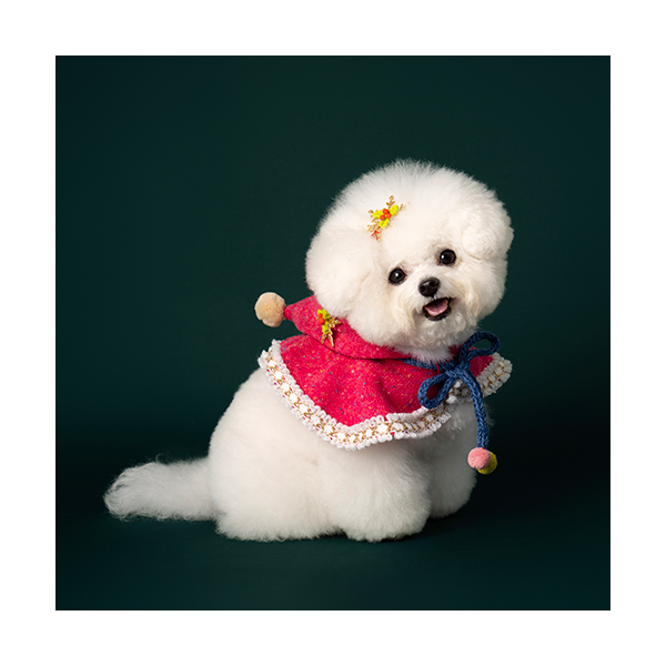 페오펫몰,Hooded Cloak Pink (후드망토 핑크)