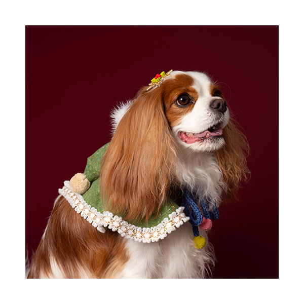 페오펫몰,Hooded Cloak Green (후드망토 그린)