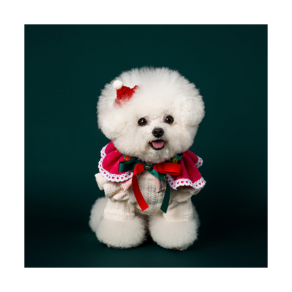 페오펫몰,Noel Cape Pink (노엘 케이프 핑크)