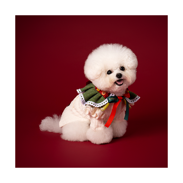 페오펫몰,Noel Cape Green (노엘 케이프 그린)