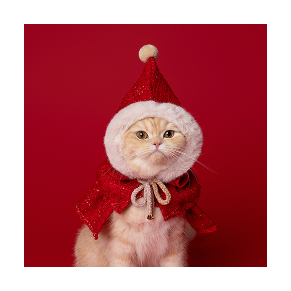 페오펫몰,Red Hood (빨간 망토)