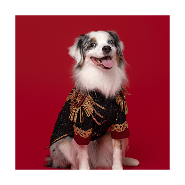 페오펫몰,New Cavalier Tweed 뉴 카발리에 트위드