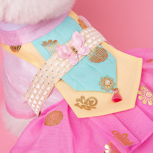 페오펫몰,Hanbok No.5 Female Style (Dress)