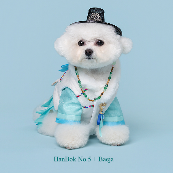 페오펫몰,Hanbok Baeja Male Style