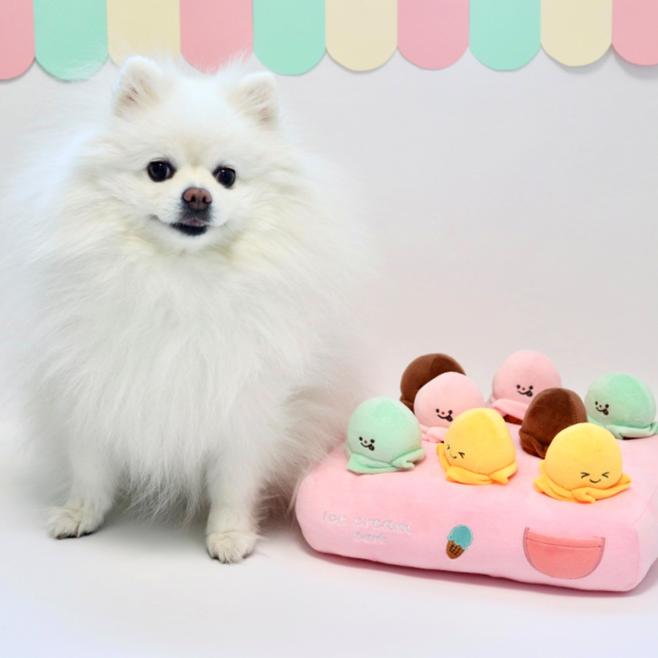 페오펫몰,[꼬수니토이즈] 아이스크림 카트 노즈워크 장난감