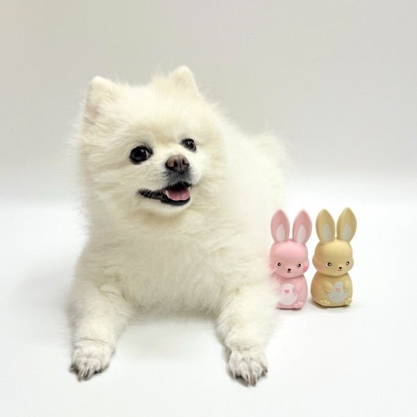 페오펫몰,[꼬수니토이즈] 토끼 강아지 라텍스 삑삑이 장난감 2종 세트