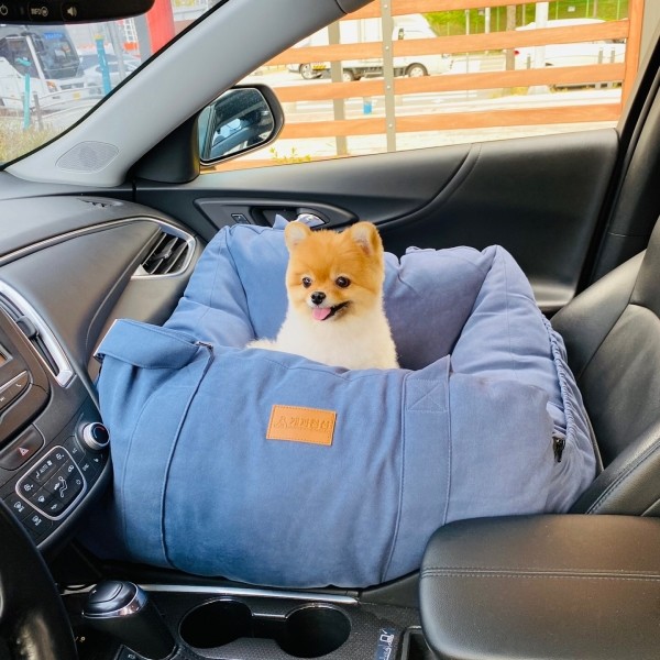 페오펫몰,[설날특가] 개과천선 프리미엄 루시 카시트