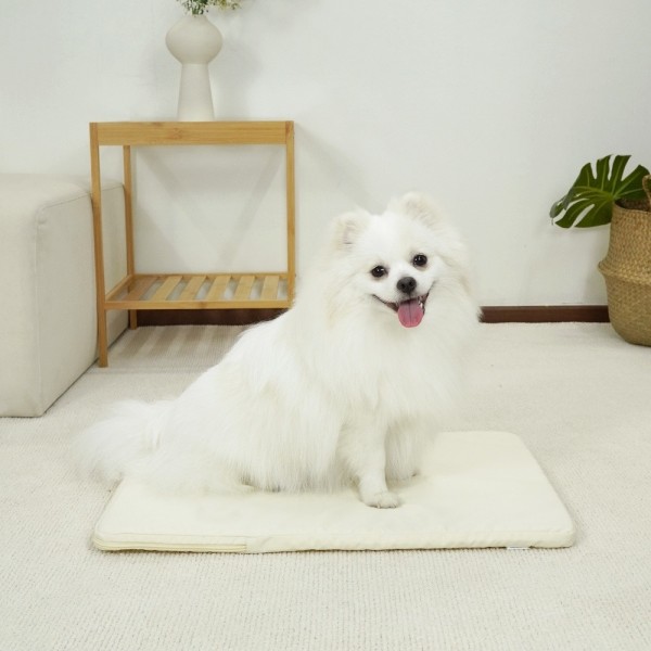 페오펫몰,개과천선 시원한 3D 메쉬 디넬 강아지 매트
