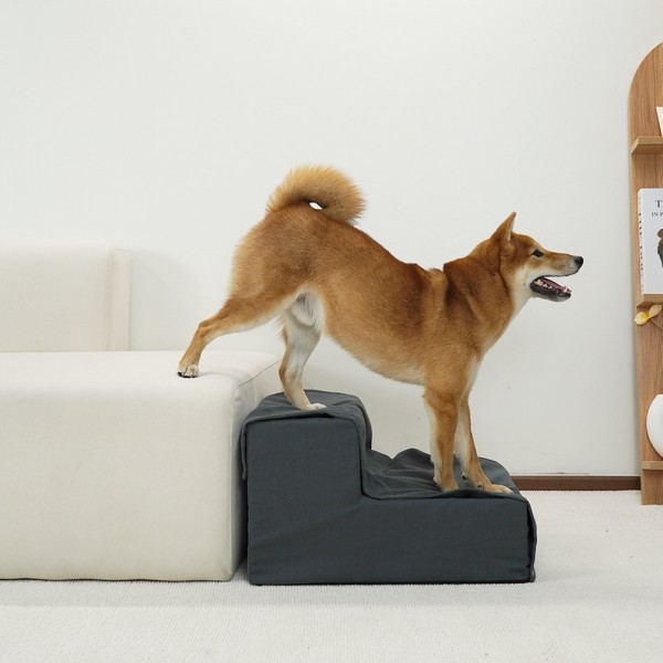 페오펫몰,개과천선 매그넛 강아지 펫스텝