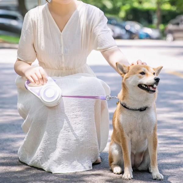 페오펫몰,개과천선 트위스트 LED 강아지 자동 리드줄 3M