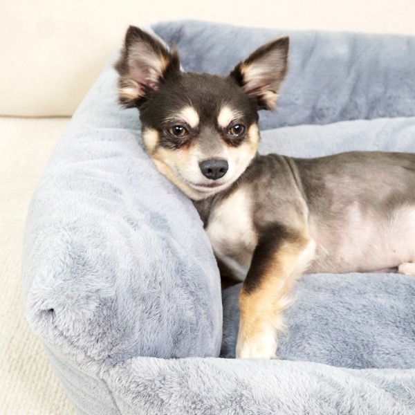 페오펫몰,개과천선 카소 애견 강아지 방석