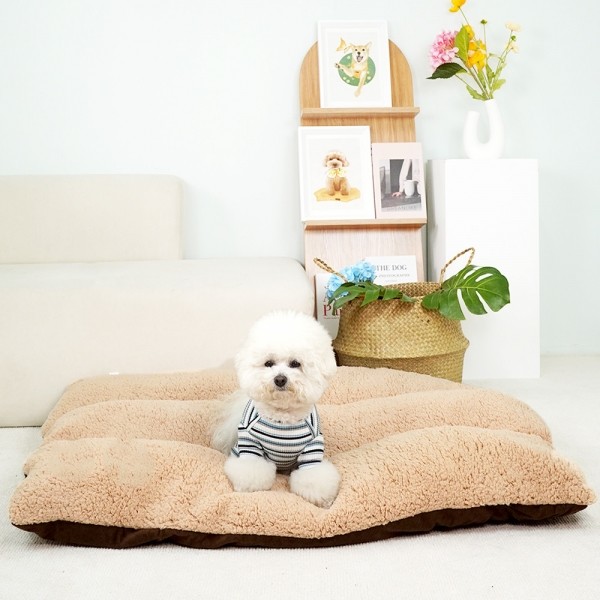 페오펫몰,개과천선 르뽀렘 강아지 사각 쿠션 브라운