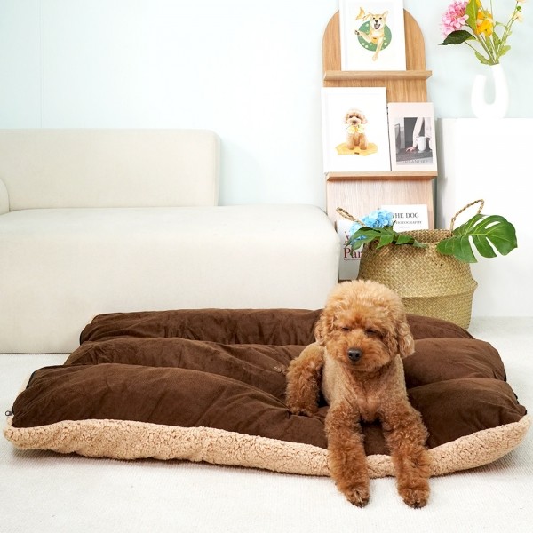 페오펫몰,개과천선 르뽀렘 강아지 사각 쿠션 브라운