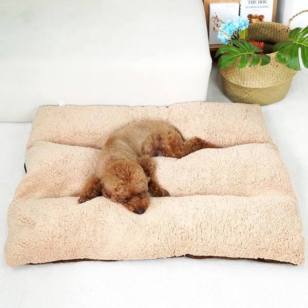 페오펫몰,개과천선 르뽀렘 강아지 사각 쿠션 브라운