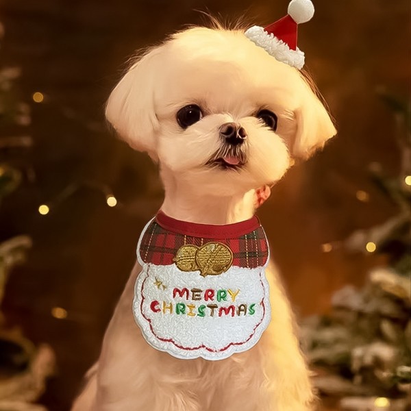 페오펫몰,개과천선 엑스마스 강아지 케이프 1set