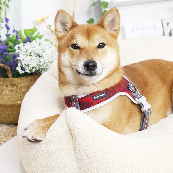 페오펫몰,개과천선 웜티 강아지 소파 방석