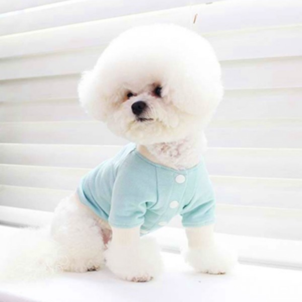 페오펫몰,개과천선 캔디 펍 강아지 자켓