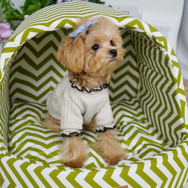 페오펫몰,개과천선 퍼프돔 강아지 하우스 그린티