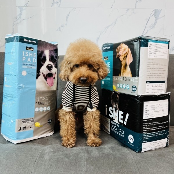페오펫몰,개과천선 강아지 배변 패드 중형 대형 200매 엠보싱