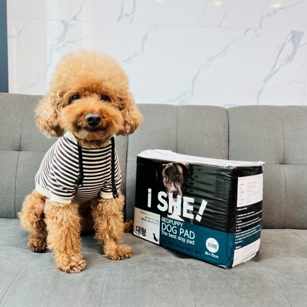 페오펫몰,개과천선 강아지 배변 패드 중형 대형 200매 엠보싱