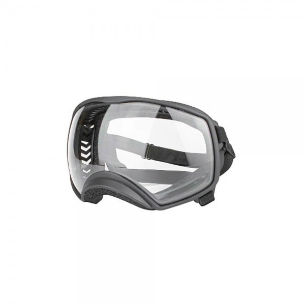 페오펫몰,개과천선 카디 강아지 고글