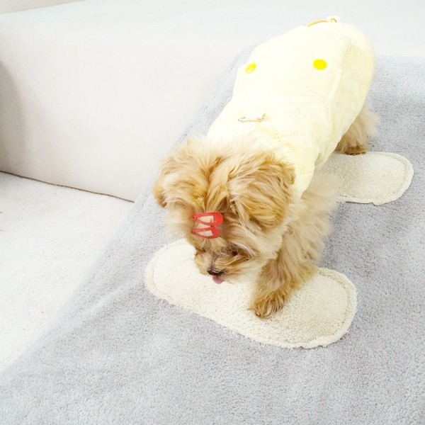 페오펫몰,개과천선 티프펫 강아지 슬라이드 계단