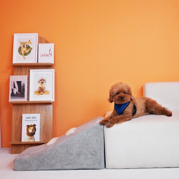 페오펫몰,개과천선 티프펫 강아지 슬라이드 계단