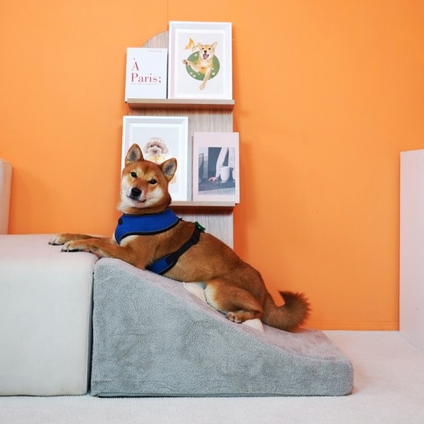 페오펫몰,개과천선 티프펫 강아지 슬라이드 계단