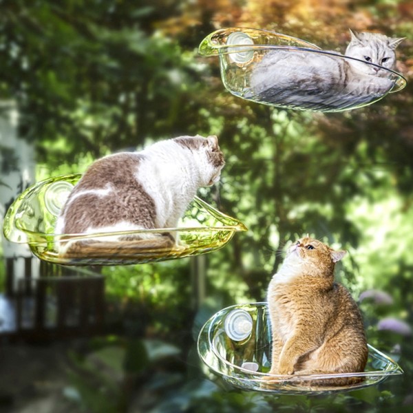 페오펫몰,개과천선 버블 캣 해먹 고양이 침대