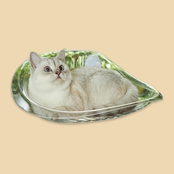 페오펫몰,개과천선 버블 캣 해먹 고양이 침대