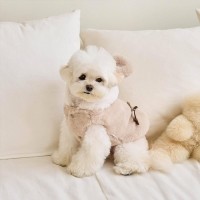 [행복특가] 개과천선 베어티 극세사 강아지 조끼