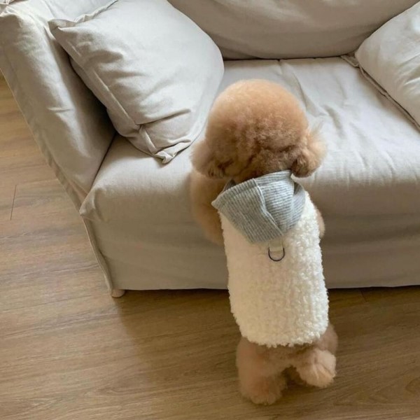 페오펫몰,[행복특가] 개과천선 퍼링 털 강아지 조끼