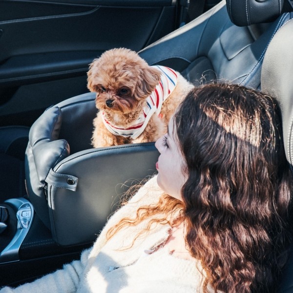 페오펫몰,개과천선 스페이스 강아지 가죽 콘솔 카시트 (콘솔백 별도 판매)