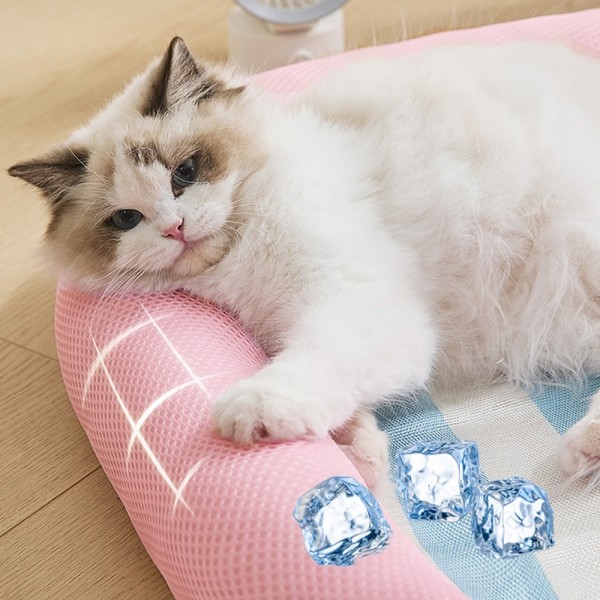 페오펫몰,개과천선 투니 고양이 쿨 방석 강아지 쿨 매트