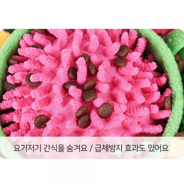 페오펫몰,[댕캉스특가] 개과천선 센트 원형 노즈워크 강아지 장난감 (색상랜덤)