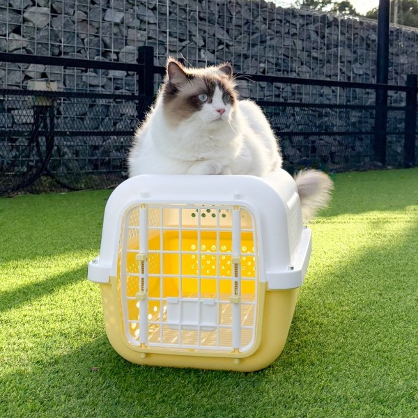 페오펫몰,개과천선 클라바 강아지 켄넬 이동장