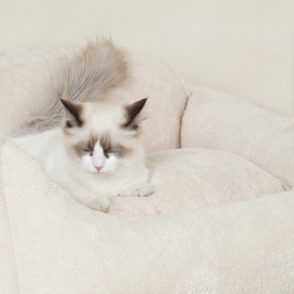 페오펫몰,[감사특가] 개과천선 러비나 쿠션 강아지 방석